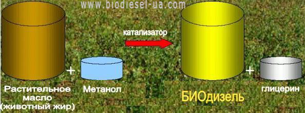 Производство биодизеля с помощью центрифуг и сепараторов для биодизеля