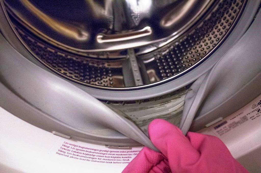 Плесень в стиральной машине: как избавиться и очистить, 10 лучших средств
