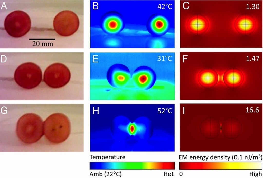 Плазма из винограда в микроволновке: научное чудо у вас на кухне