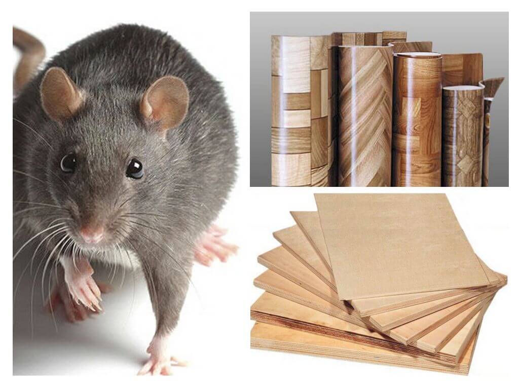  утеплитель не грызут мыши и крысы обзор лучших материалов