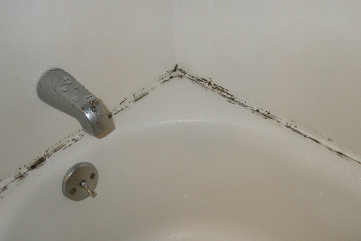 Чем убрать плесень в ванной: практические советы, как избавиться от грибка в швах и на потолке народными средствами