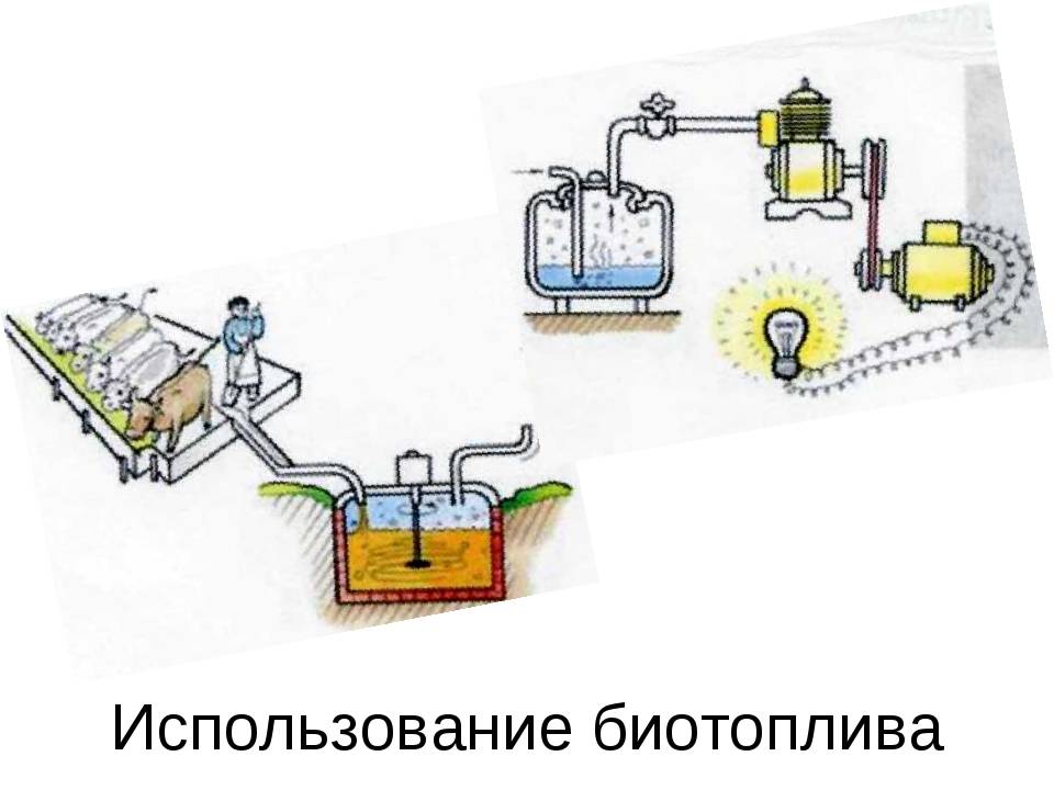 Биодизель и производство биодизеля с помощью реакторов - globecore.ru
