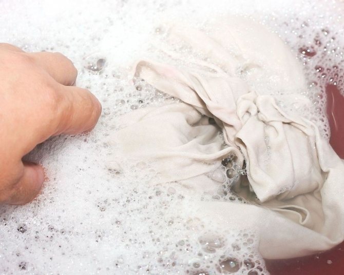 Как вывести пятно от черники в домашних условиях: чем отстирать с одежды