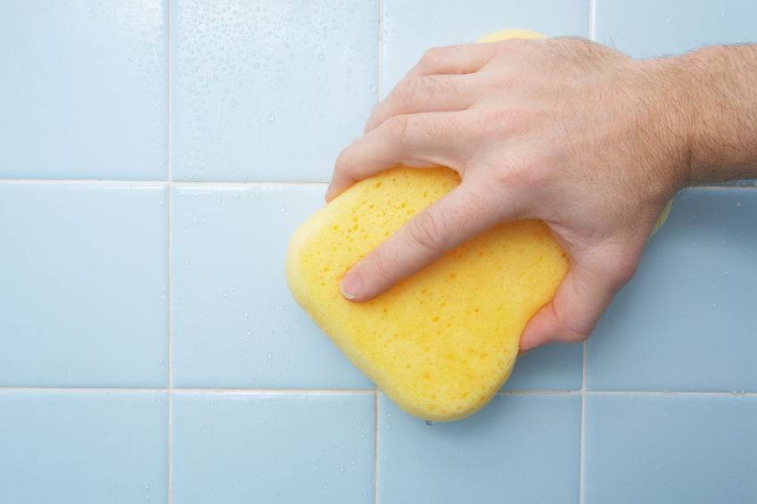 Плесень в ванной комнате — как избавиться и что делать?