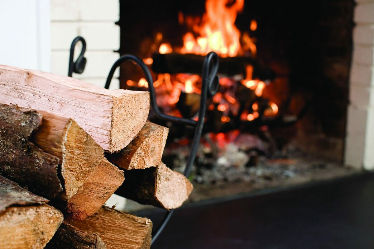 Какие из видов дров самые жаркие: какие лучше применять для отопления, а какие для бани