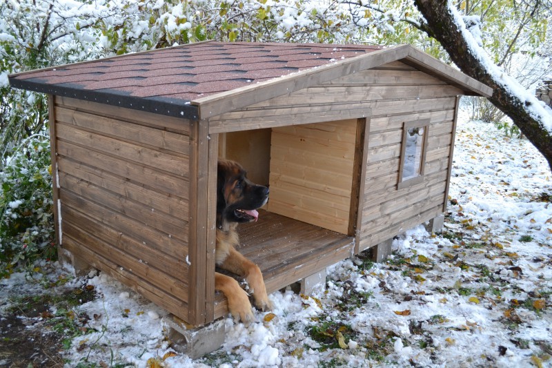 Как утеплить будку для собаки на зиму пошаговая инструкция