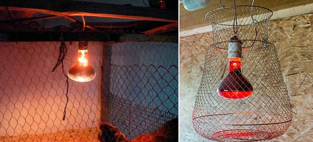Инфракрасные лампы для обогрева курятника: как установить и обогреть зимой кур красной лампой