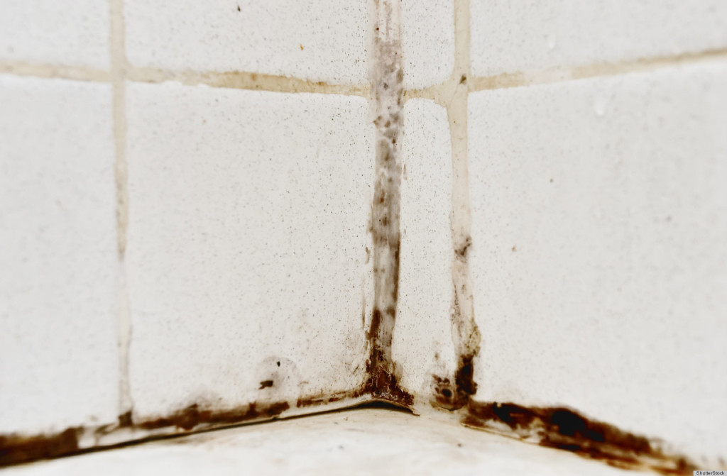 Как избавиться от плесени на швах плитки, стенах и потолке в ванне — народные средства и современные методы на портале «хозяйке на заметку»