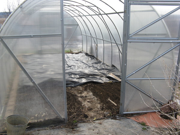 Подготовка почвы в теплице под помидоры весной: обработка грядок, видео и фото