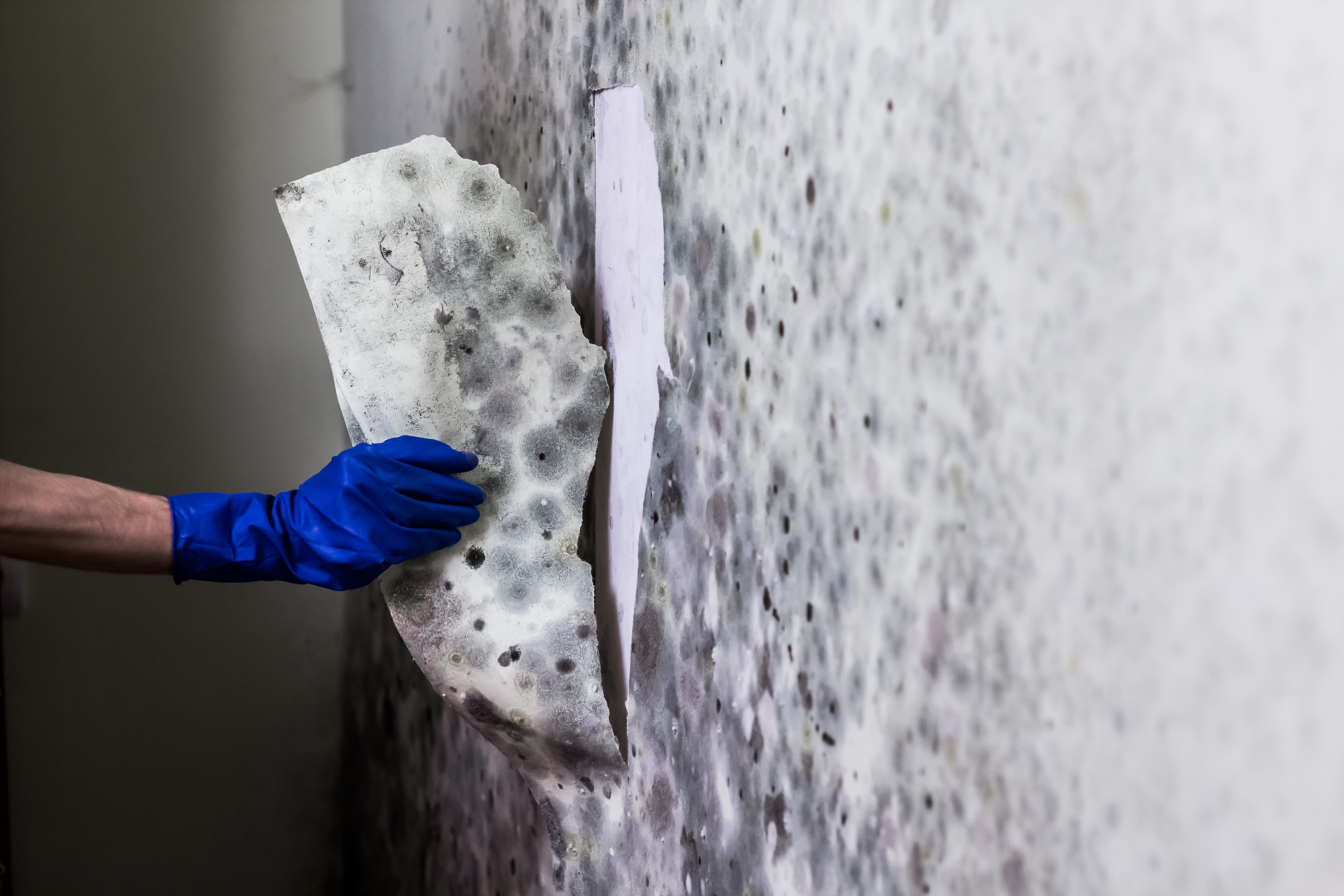 Материалы и технология утепления кирпичной стены изнутри своими руками
