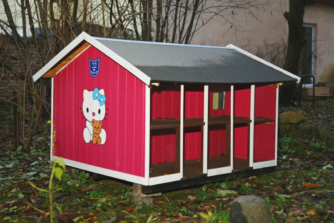 Зимний домик для бездомных котов своими руками : labuda.blog