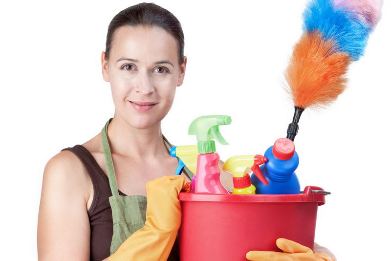 ️обзор лучших производителей чистящих эко-средств для дома