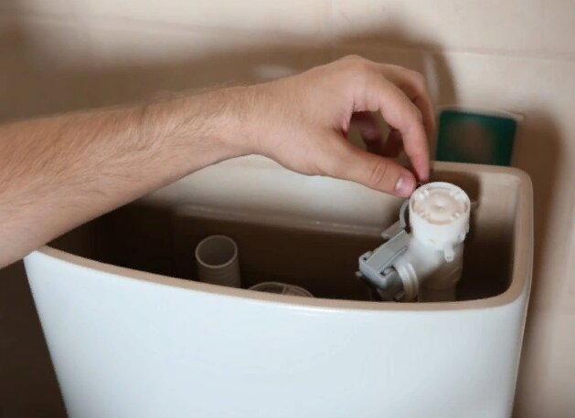 Все гениальное - просто: как очистить унитаз при помощи зубной пасты - delfi