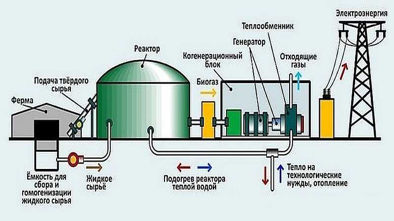 Бизнес-план производство биодизельного топлива