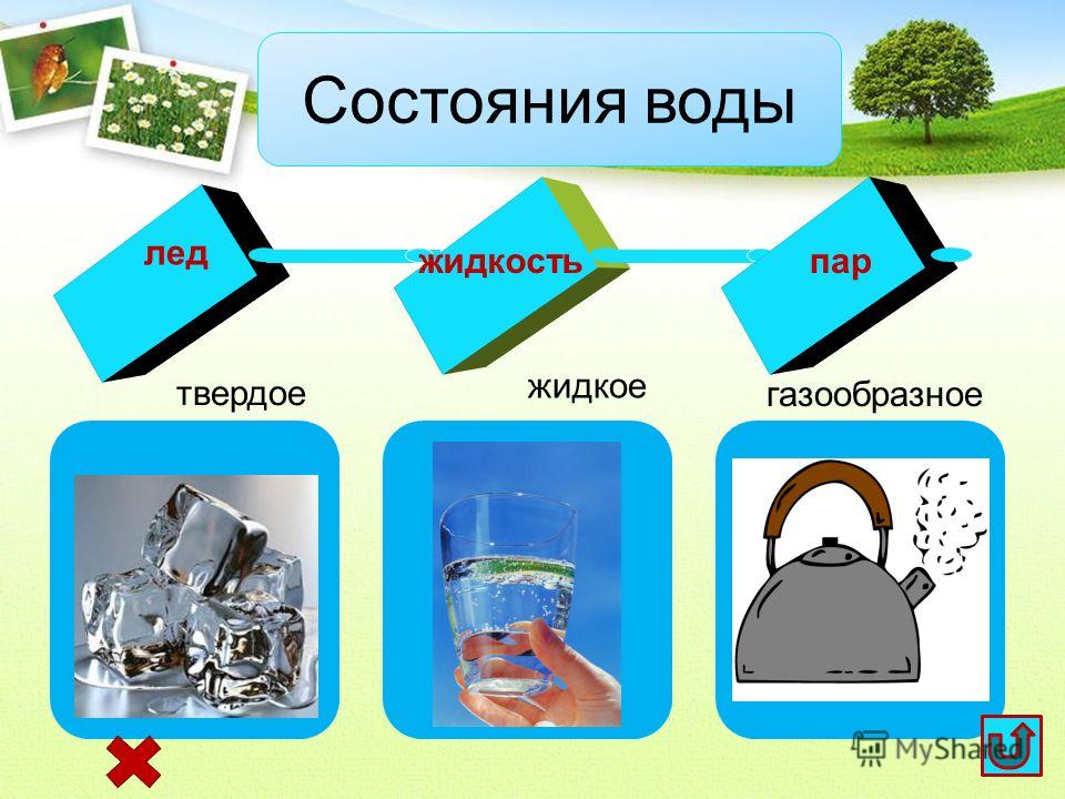 Биодизельное топливо: как сделать биодизель своими руками в домашних условиях - zetsila