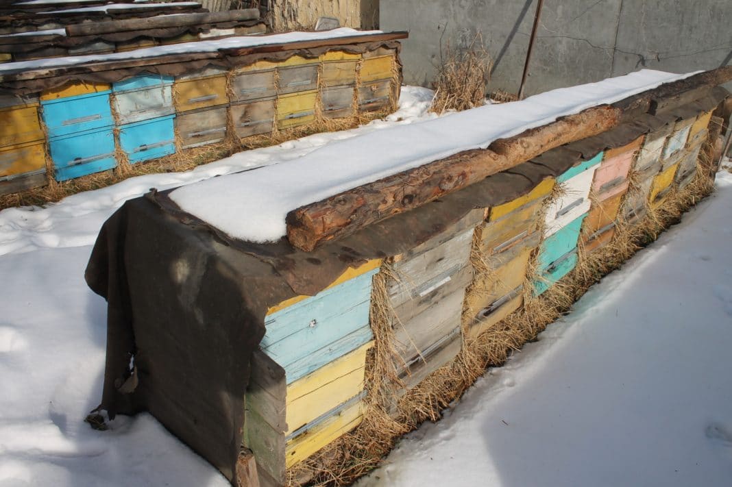 Подготовка пчел к зиме: кормовые запасы, сборка гнезда, утепление, зимовка на улице и основные ошибки - видео
