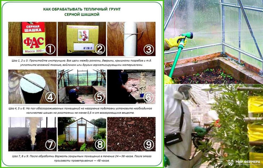 Как приготовить почву для огурцов в теплице весной: какая земля нужна, подготовка грунта