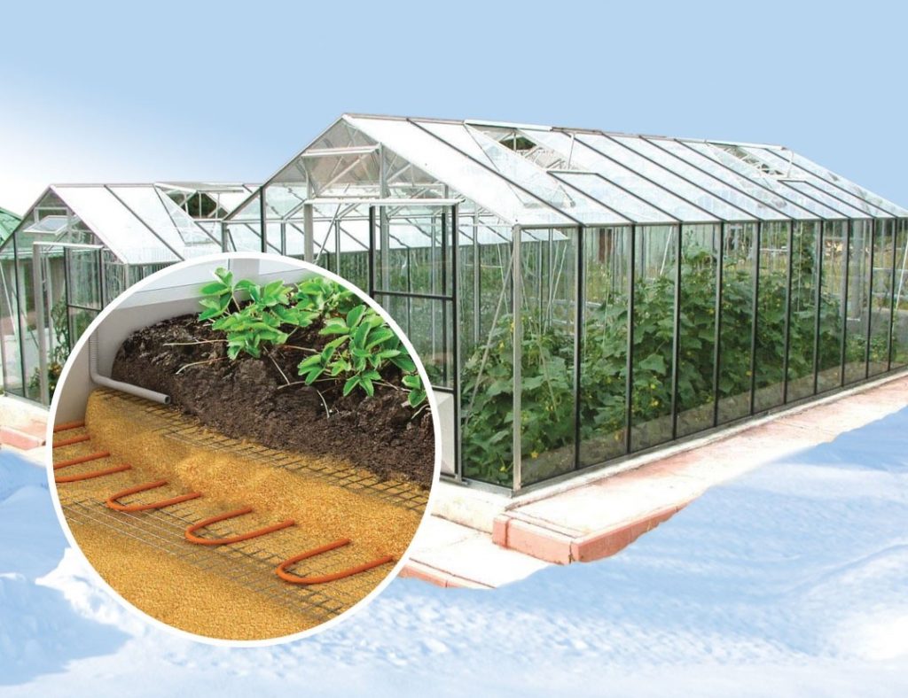 Круглогодичный урожай: строим зимнюю теплицу из поликарбоната с отоплением своими руками